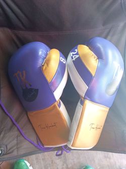True Kombat custom boxing gloves