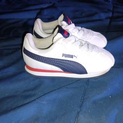 Baby Pumas 