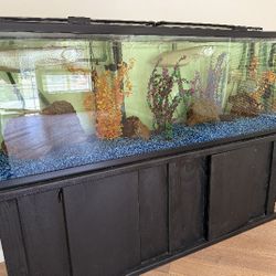 150 Gallon Fish Tank And Stand 