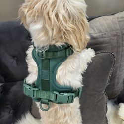 PET HARNESS SIZE  SMALL  $5