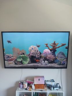 Samsung TV