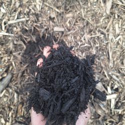 Mulch/Hog Fuel