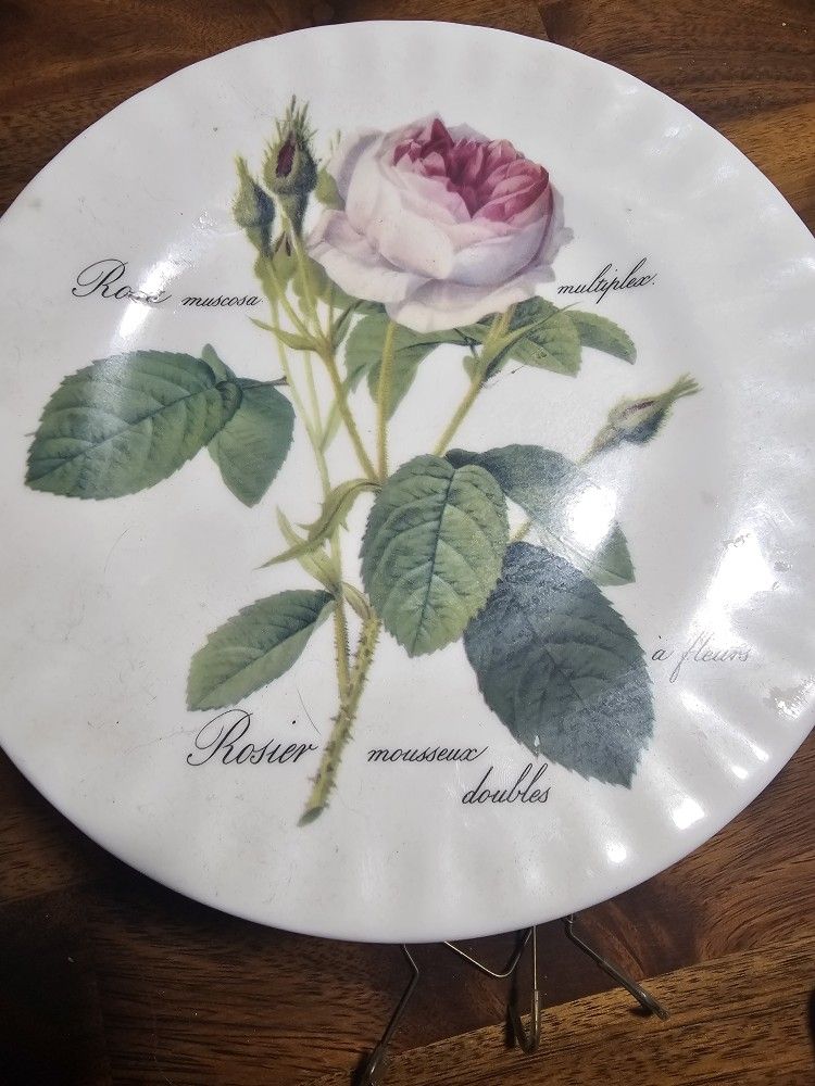 Fine Bone China Roy Kirkham