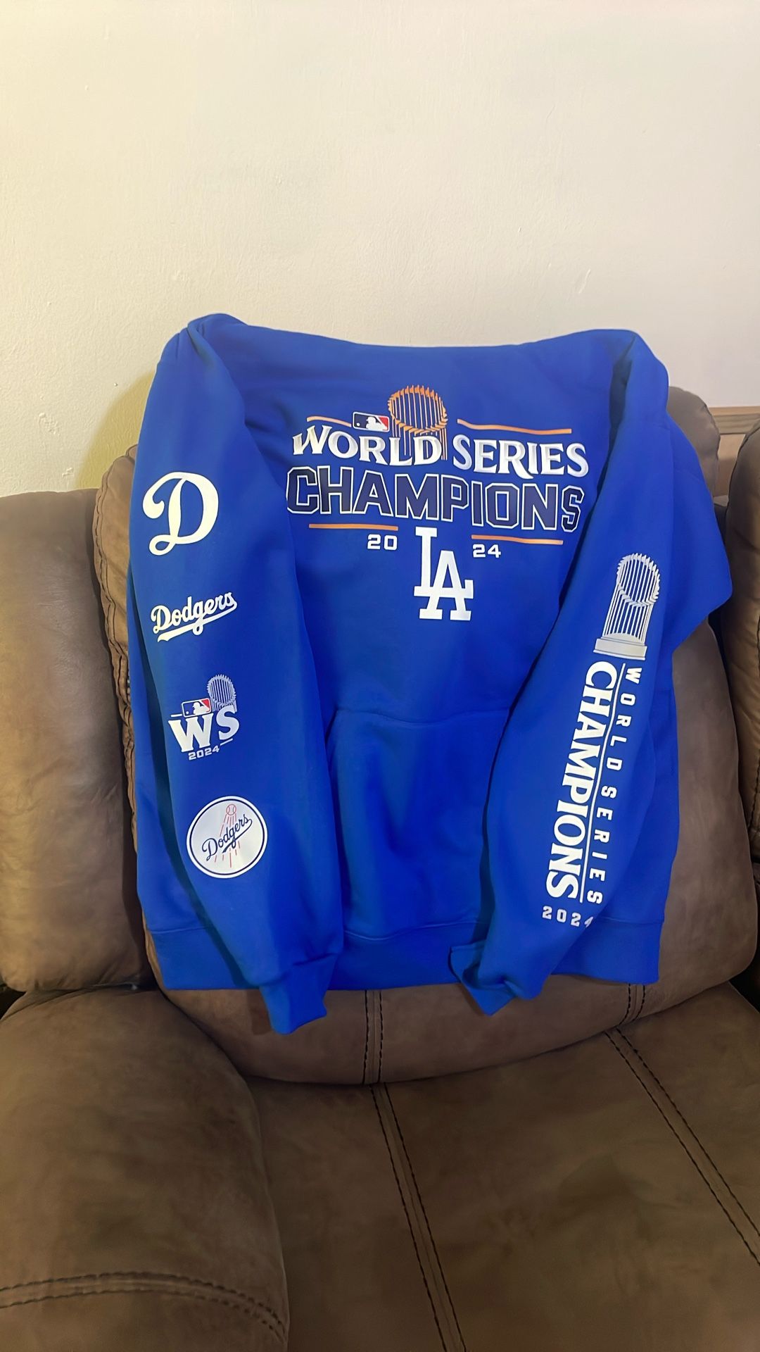 Champions Hoodie.