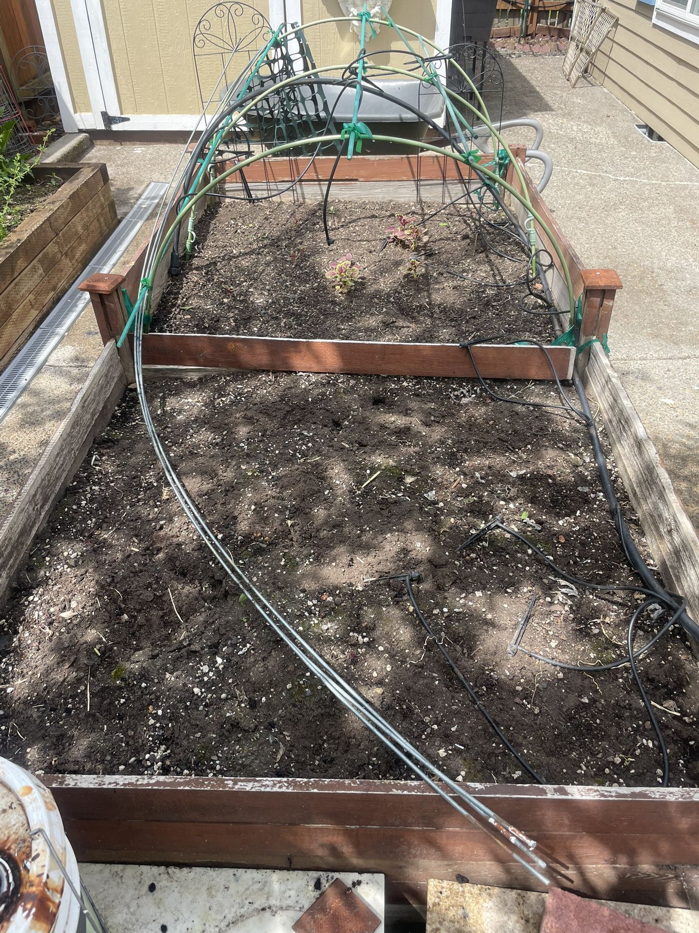 Vegetable Bed Soil