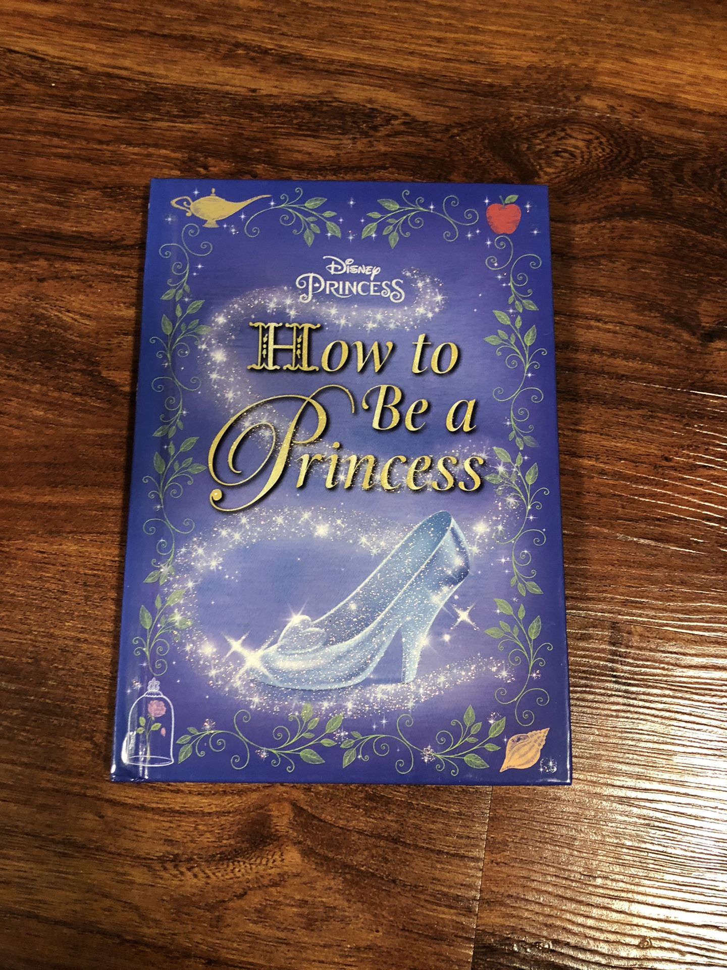 Disney Princess Book!