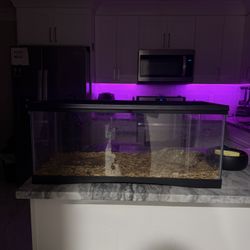 20 Gal Tank