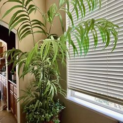 Beautiful 9’ Artificial Kentia Palm 