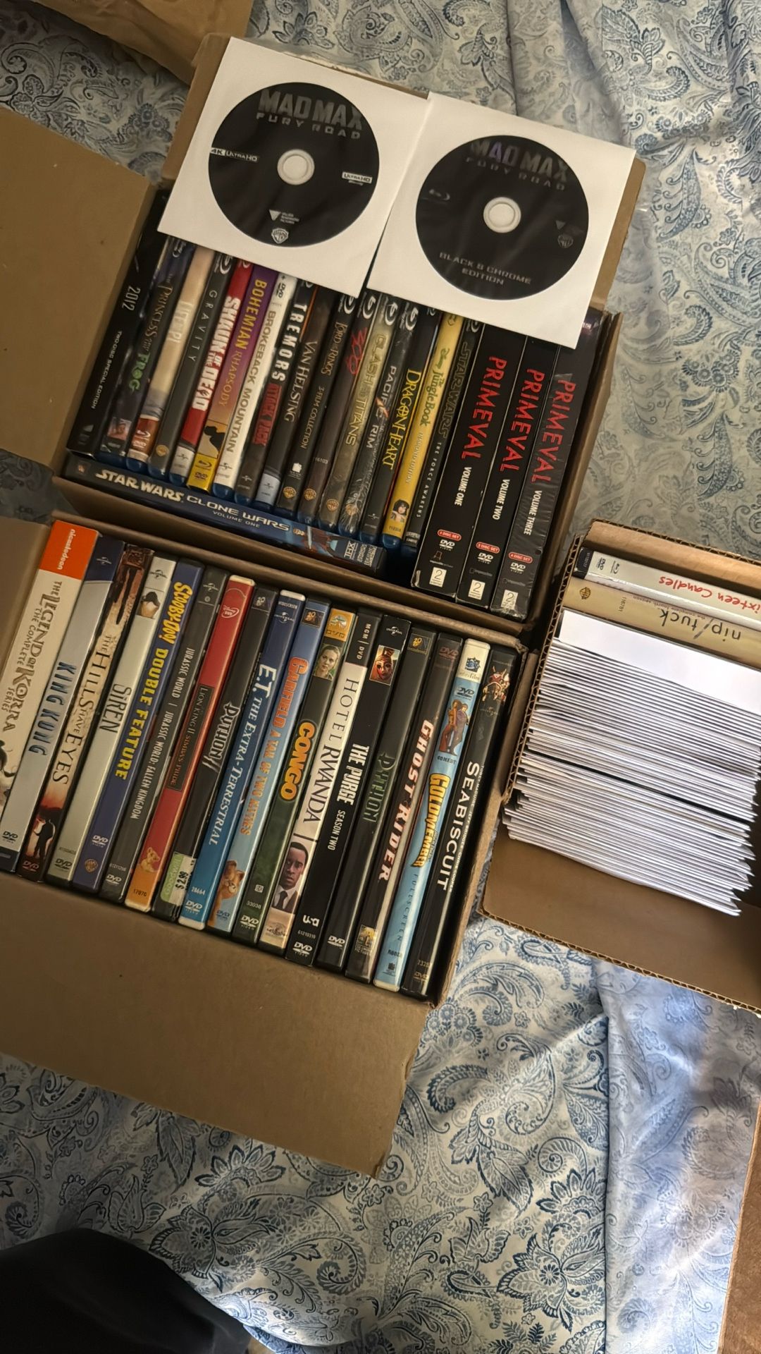 100+ Movies and Shows (4K, Blu-ray, DVD, HD-DVD)