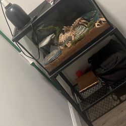 Fish Tank And Metal Stand