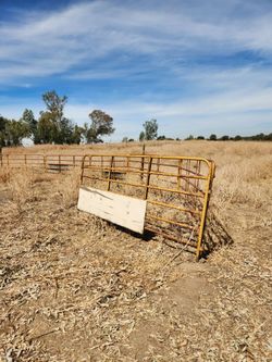 Horse pin ten panels
