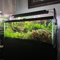 Week Aqua L Series L600 PRO RGB+UV Aquarium Light With Shade