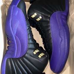 Jordan 12, Field Purple