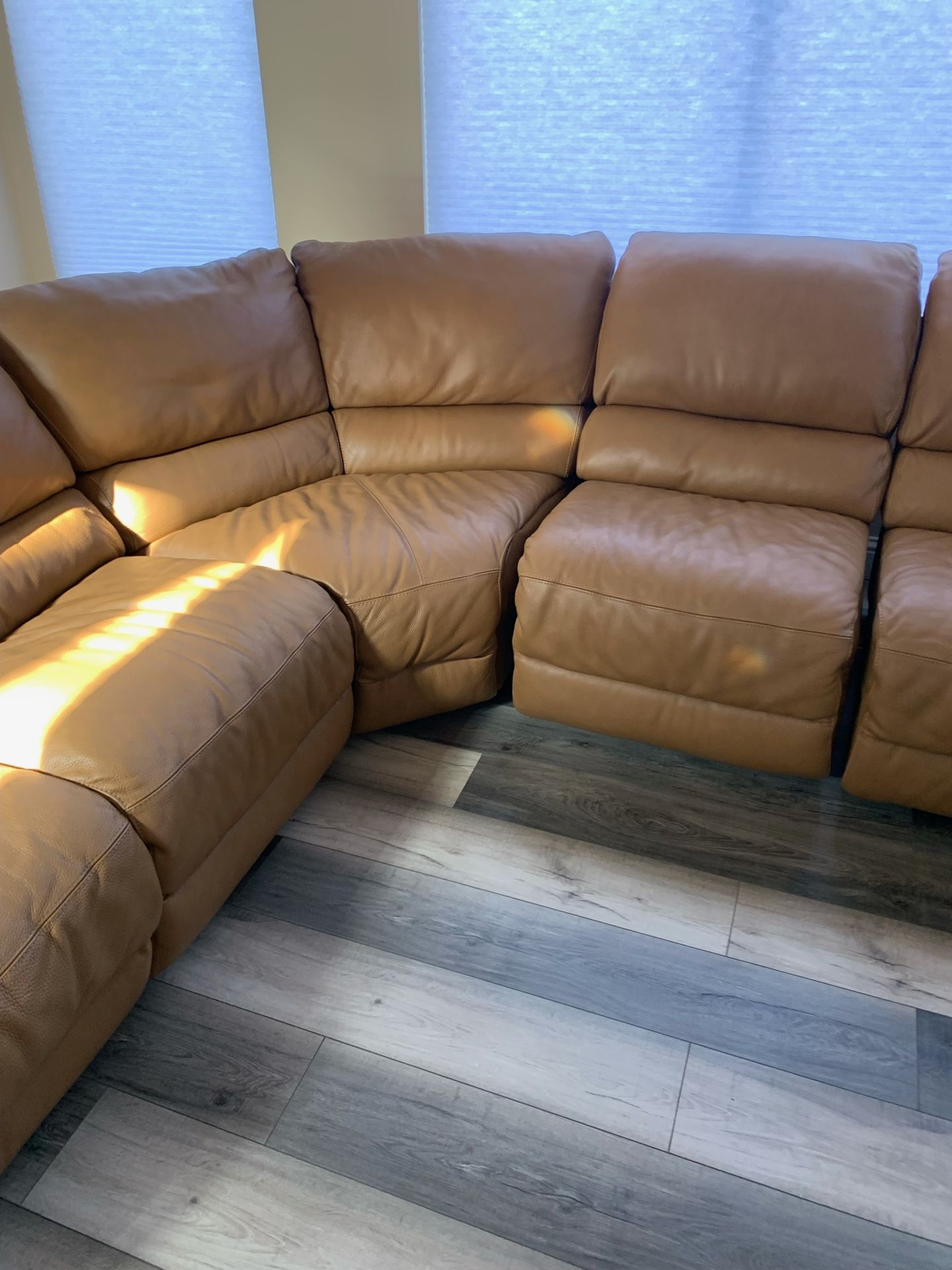 Sectional Leather Couch 
