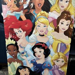 New, Large, Disney Princesses Canvas 