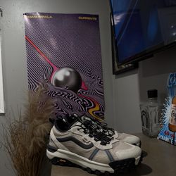 VANS CROSS PATH XC GORE-TEX SHOES