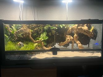 Bio active terrariums