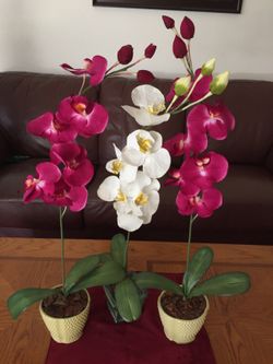 Artificial Orchids