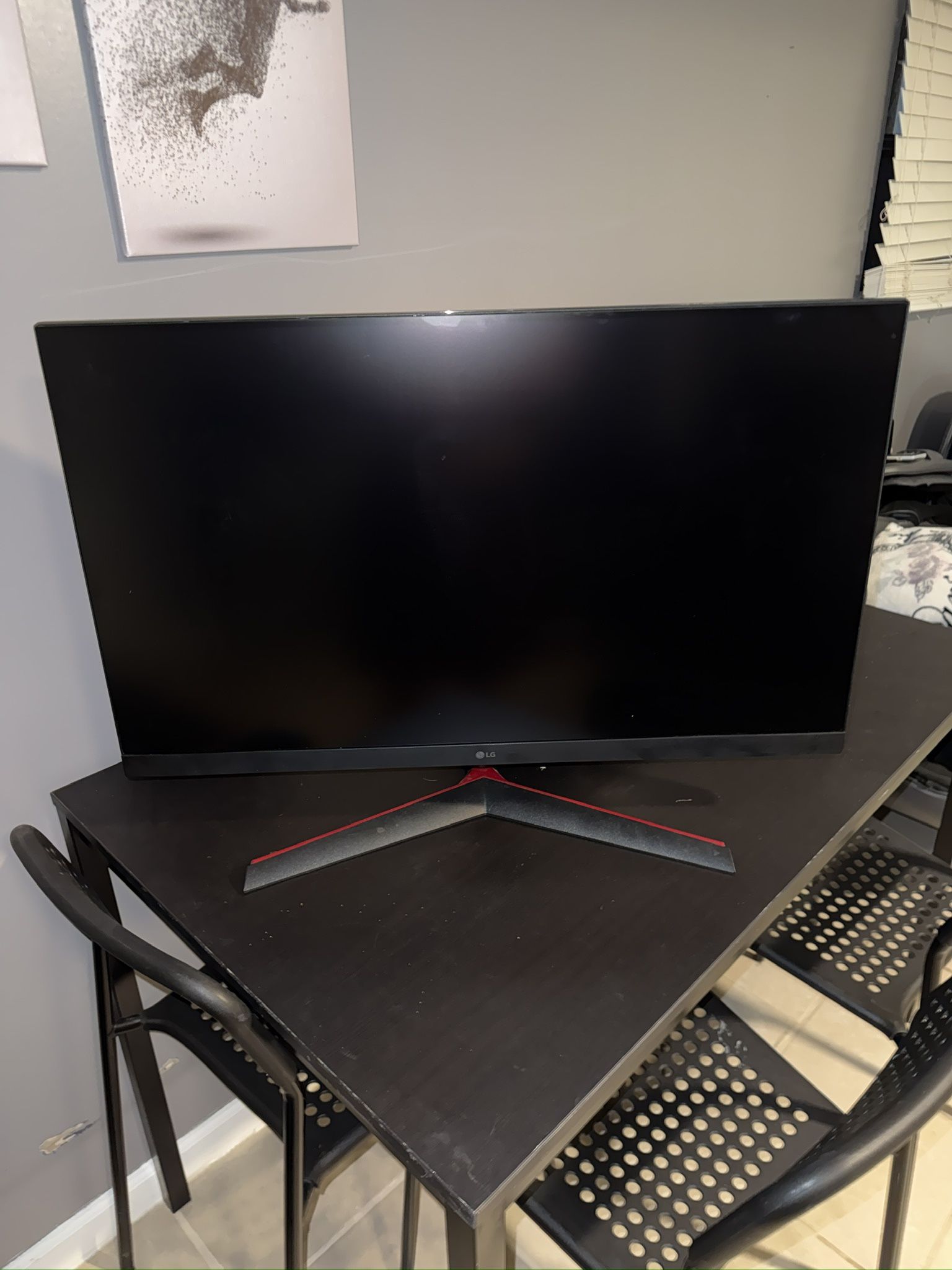 LG Gaming Monitor