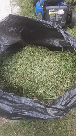 Chopped grass