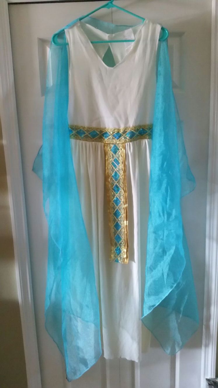 Ladies sz 4/6 Christmas Play Costume