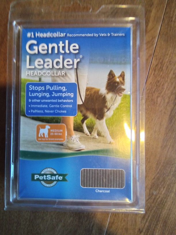 Dog Collar