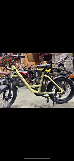 E bike