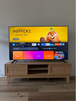 65" Insignia 4K Fire TV + Rattan TV Stand