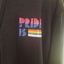 Black Vans Pulliver Hoodie