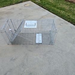 Trap For Opossum & Racoons 