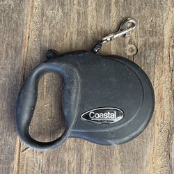 Retractable Chain