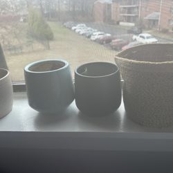 Starter Pots