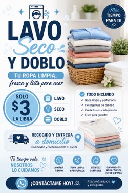 Laundry delivery