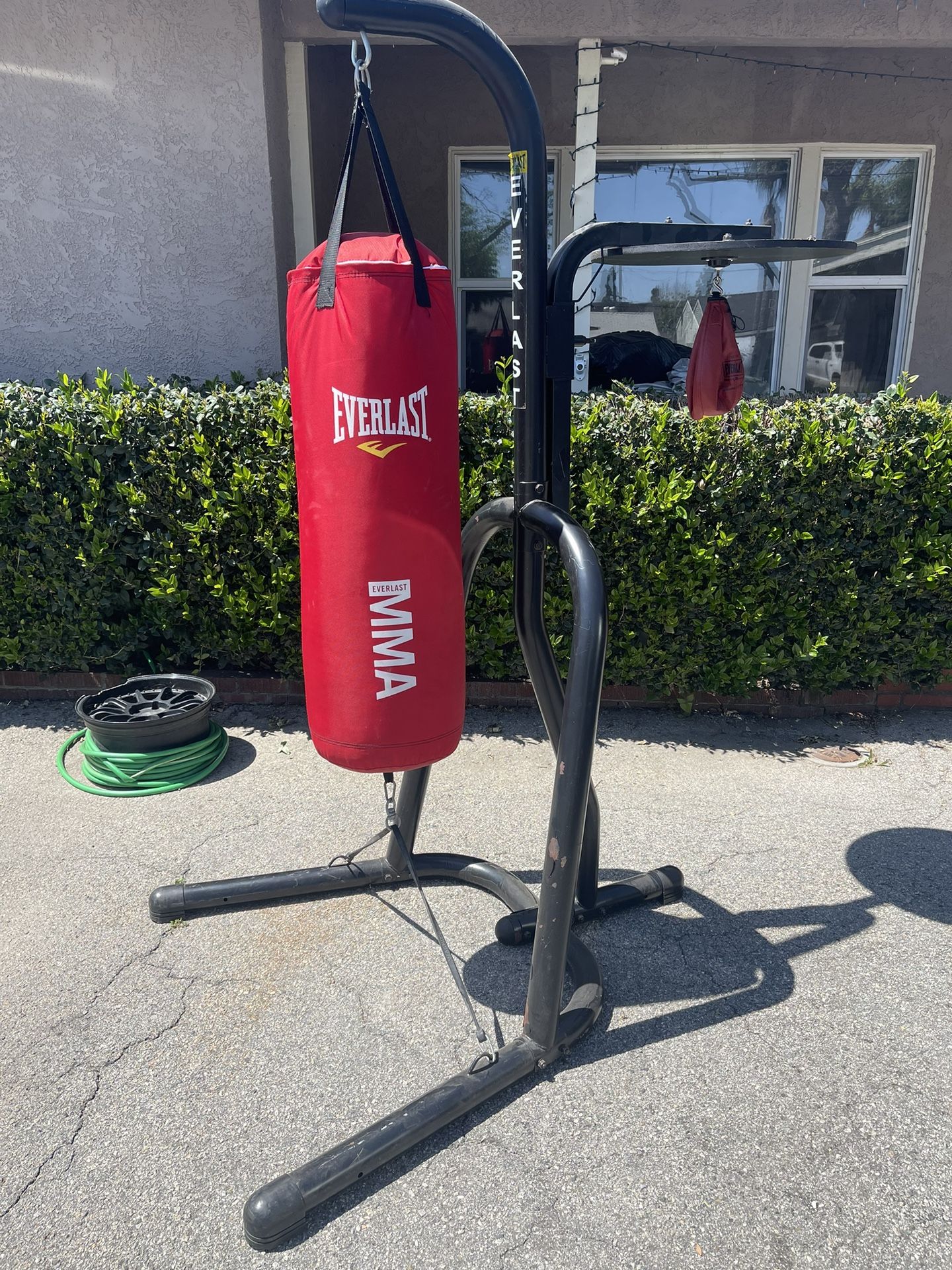 Everlast Punching Bag With Speed Bag