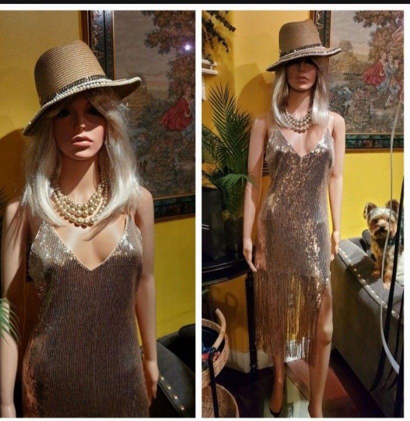 Fringed Sequin Dress. Great For Halloween Dress Up