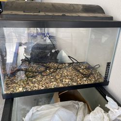 10 Gallon Aquarium 