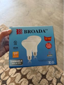 Light Bulbs *Pack of 9*