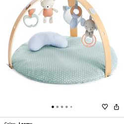 Ingenuity Baby Gym  Play Matt