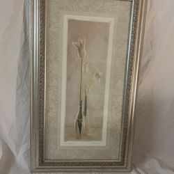 Frame Silver n Gold Size 27Long 15 Wide