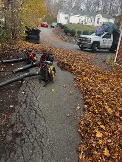 Leaf cleanups