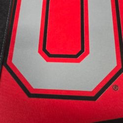 Ohio State Buckeyes Full-Size Pennant 