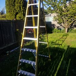 8 Foot Werner Ladder