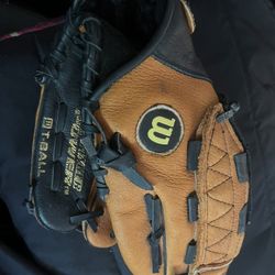 Wilson Catching Mitten