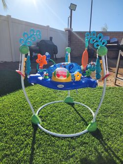 Baby Einstein Bouncer