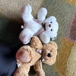 3 Teddy Bears