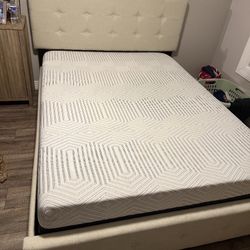 Queen Bed With Mattress 