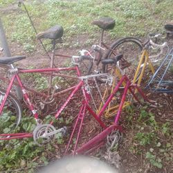 Old Bikes. 
