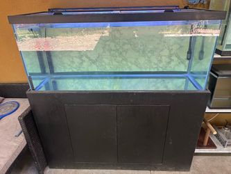 Fish tank