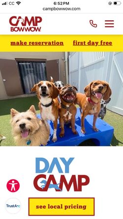 Dog Daycare Certificate