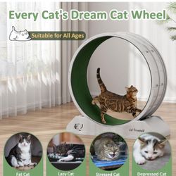 Cat Exercise Wheel, 31.5 Inch Cat Treadmill for Indoor Cats, Cats Running Wheel with Updated Enhanced Base and Carpeted Runway for Cat's Longer Life a